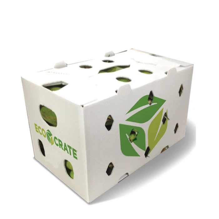 Recyclable Plastic Box Recyclable Plastic Box