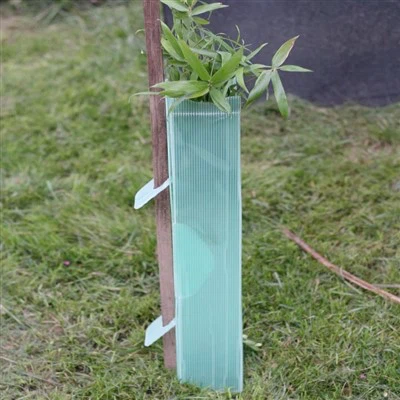 Protecția plantelor din plastic Corflute
