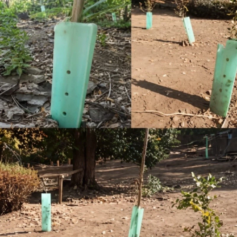 plastic tree shelter