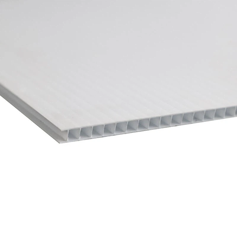 Plastic PP Hollow Sheet